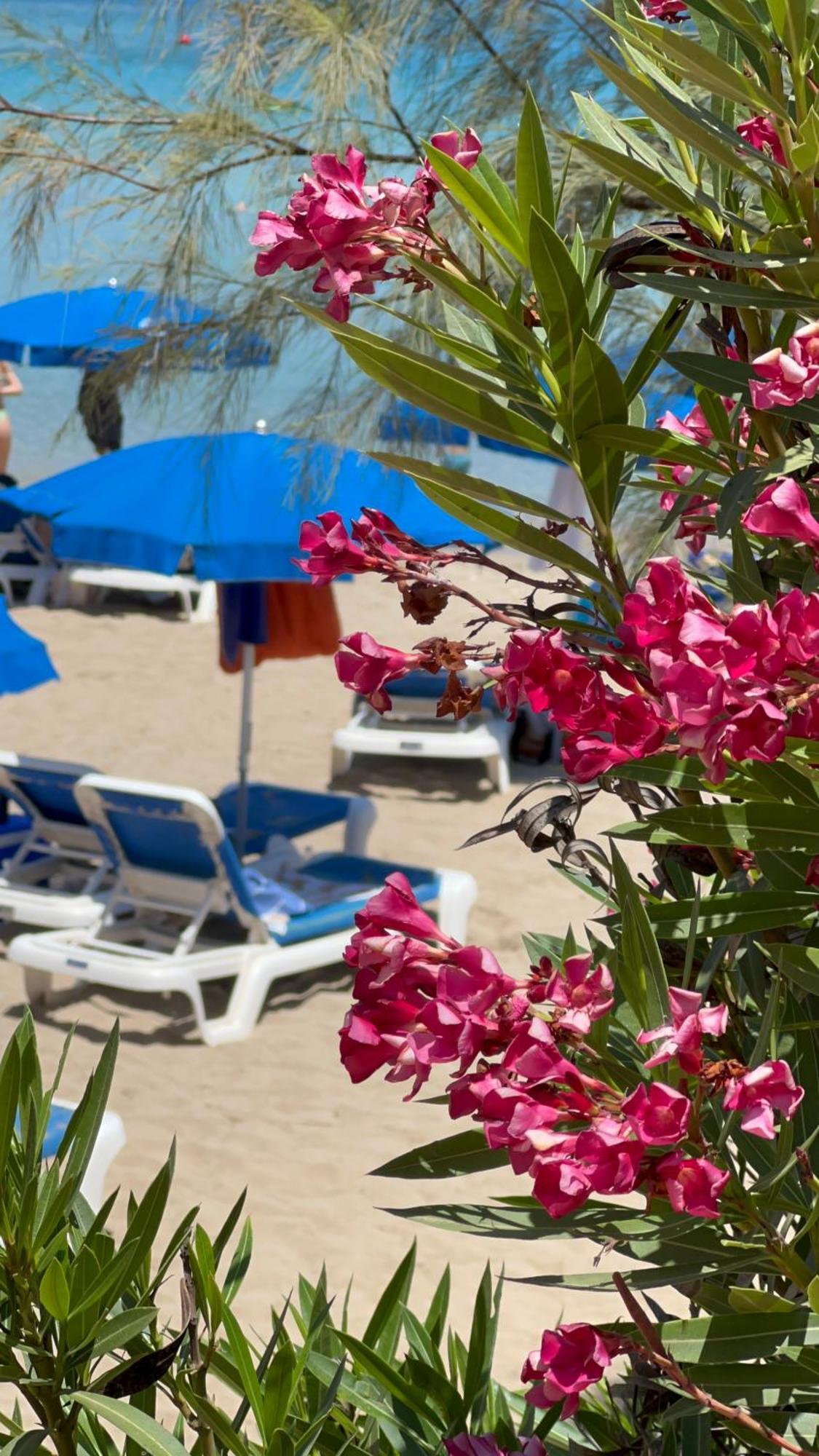 Adelais Bay Hotel بروتاراس المظهر الخارجي الصورة